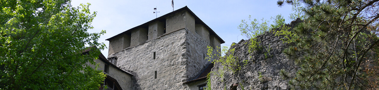 Bergfried der Schattenburg