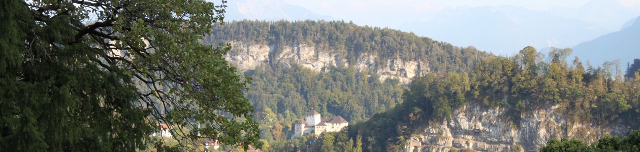 Souvenirs im Schattenburg-Museum