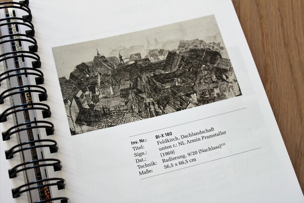 Pramstaller Armin, Feldkirch, Dachlandschaft