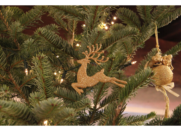 Märchenwerkstatt im Schattenburg-Museum Märchenwerkstatt im Schattenburg-Museum