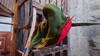 Fleecehut Robin Hood mit Feder, Einheitsgröße