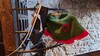 Fleeceumhang Robin Hood, 4 - 12 Jahre