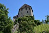 Weinberg unterhalb der Schattenburg im Frühling