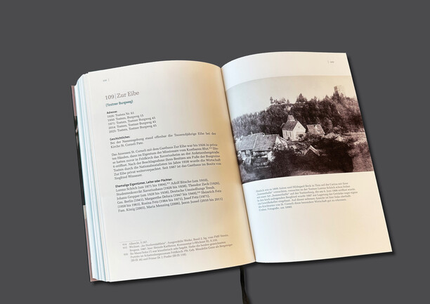 Blick auf den Bergfried der Tostnerburg mit einer Art "Sommerhalle"  um 1890.