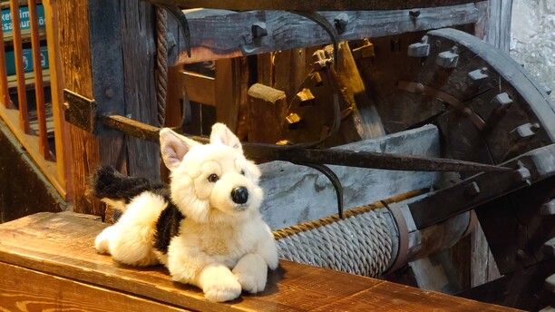 Familienführung Hasso und die geheimnisvolle Schattenburg