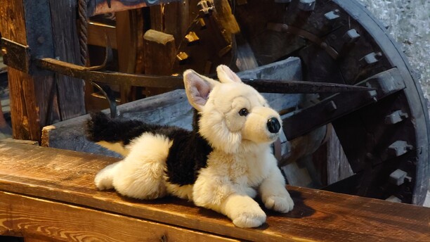 Familienführung Hasso und die geheimnisvolle Schattenburg