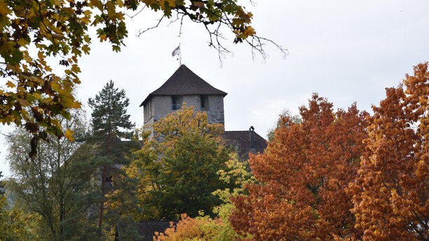 Herbst auf der Schattenburg